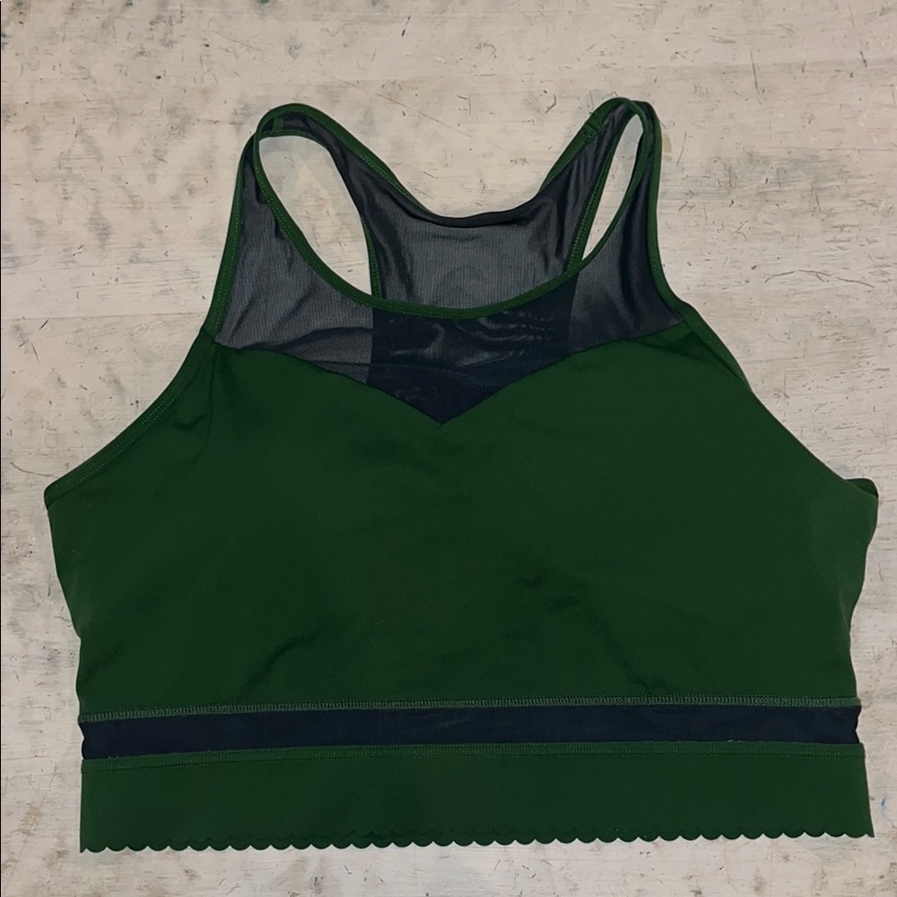 ZYIA Forest Green & Navy Mesh Sports Bra